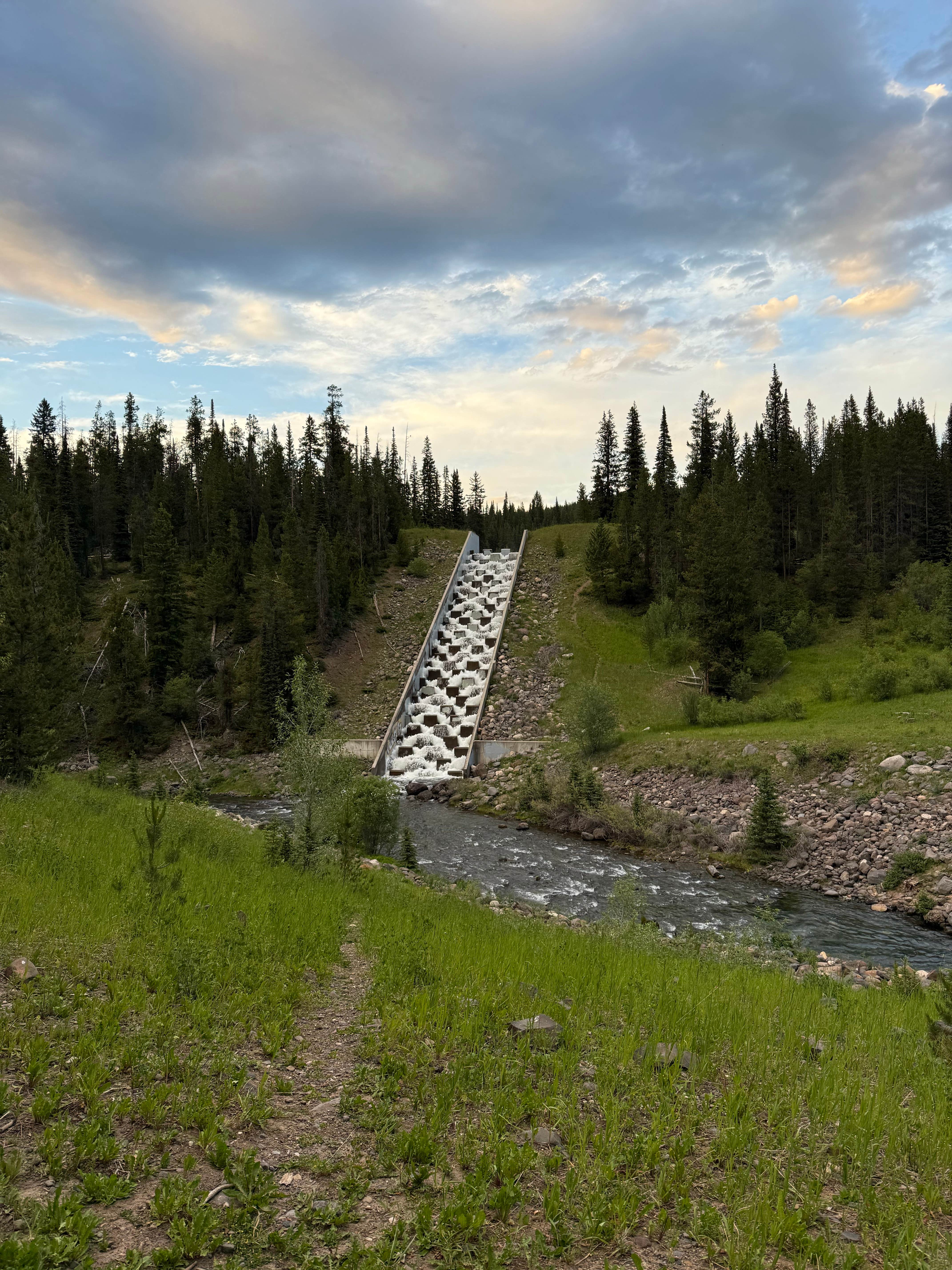 Camper-submitted photo at Blackmore Campground near Emigrant, MT