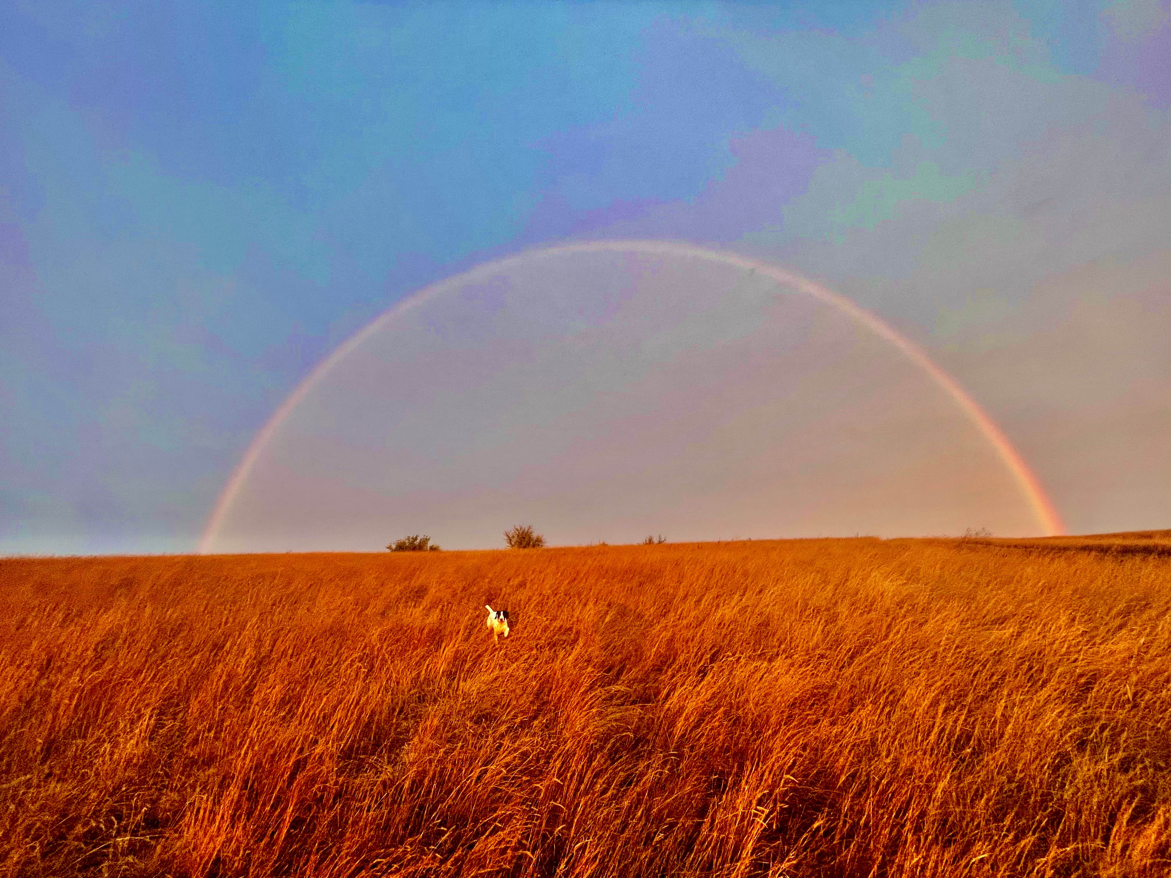 Camper-submitted photo at Brush Lake State Park Campground near Epping, ND