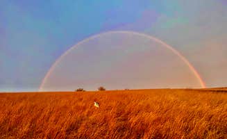 Eric P.'s photo of camping with pets at Brush Lake State Park Campground near Williston, ND