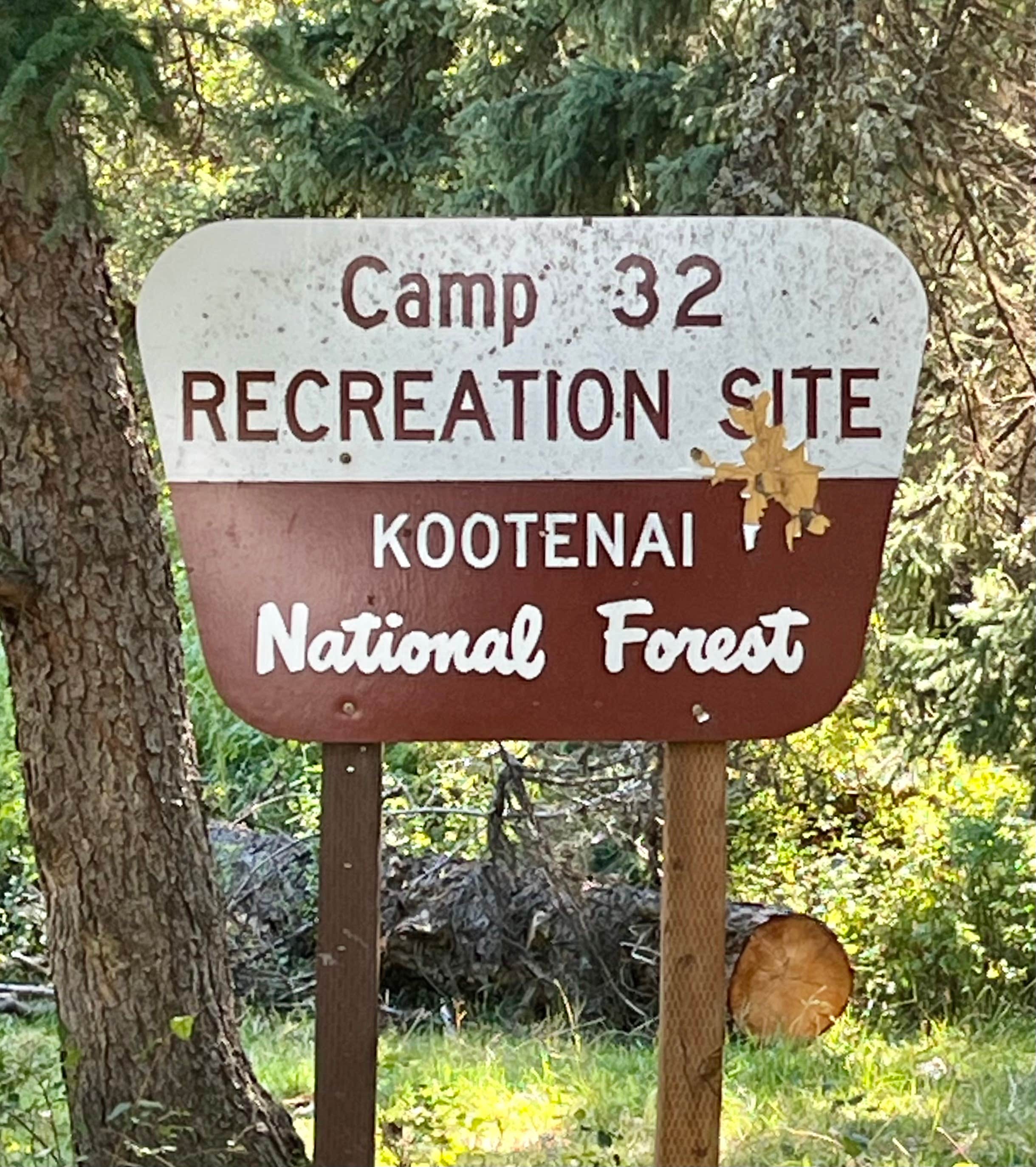 Camper-submitted photo at Camp 32 near Eureka, MT