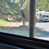 Review photo of Court Sheriff Campground by Lowell S., July 9, 2025