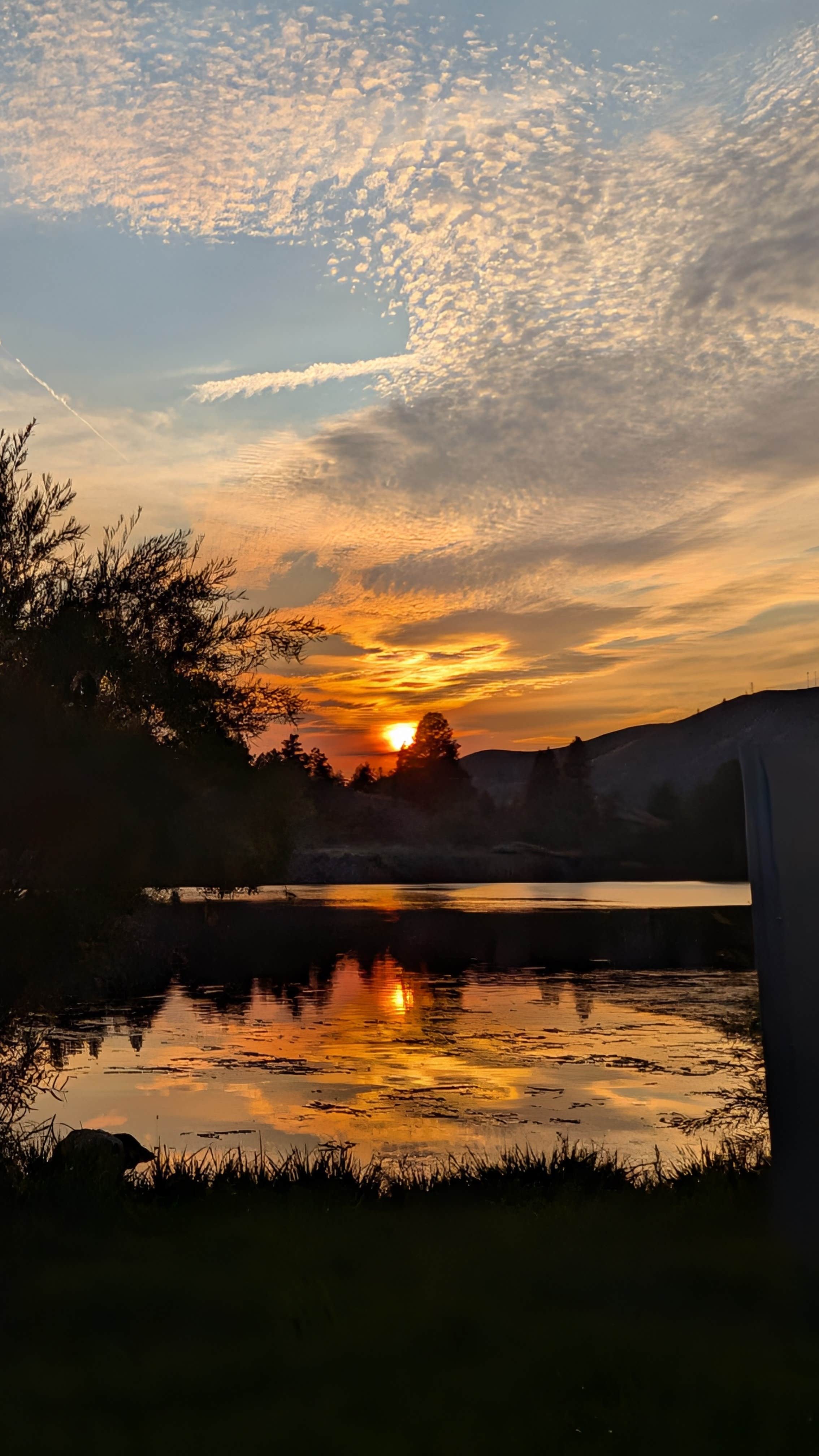 Camper-submitted photo at Riverside Campground near Helena National Forest