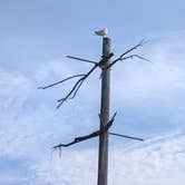 Review photo of Riverside Campground by Barbara R., November 20, 2025