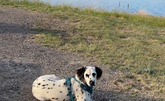 Jules S.'s photo of camping with pets at White Earth Campground near Boulder, MT