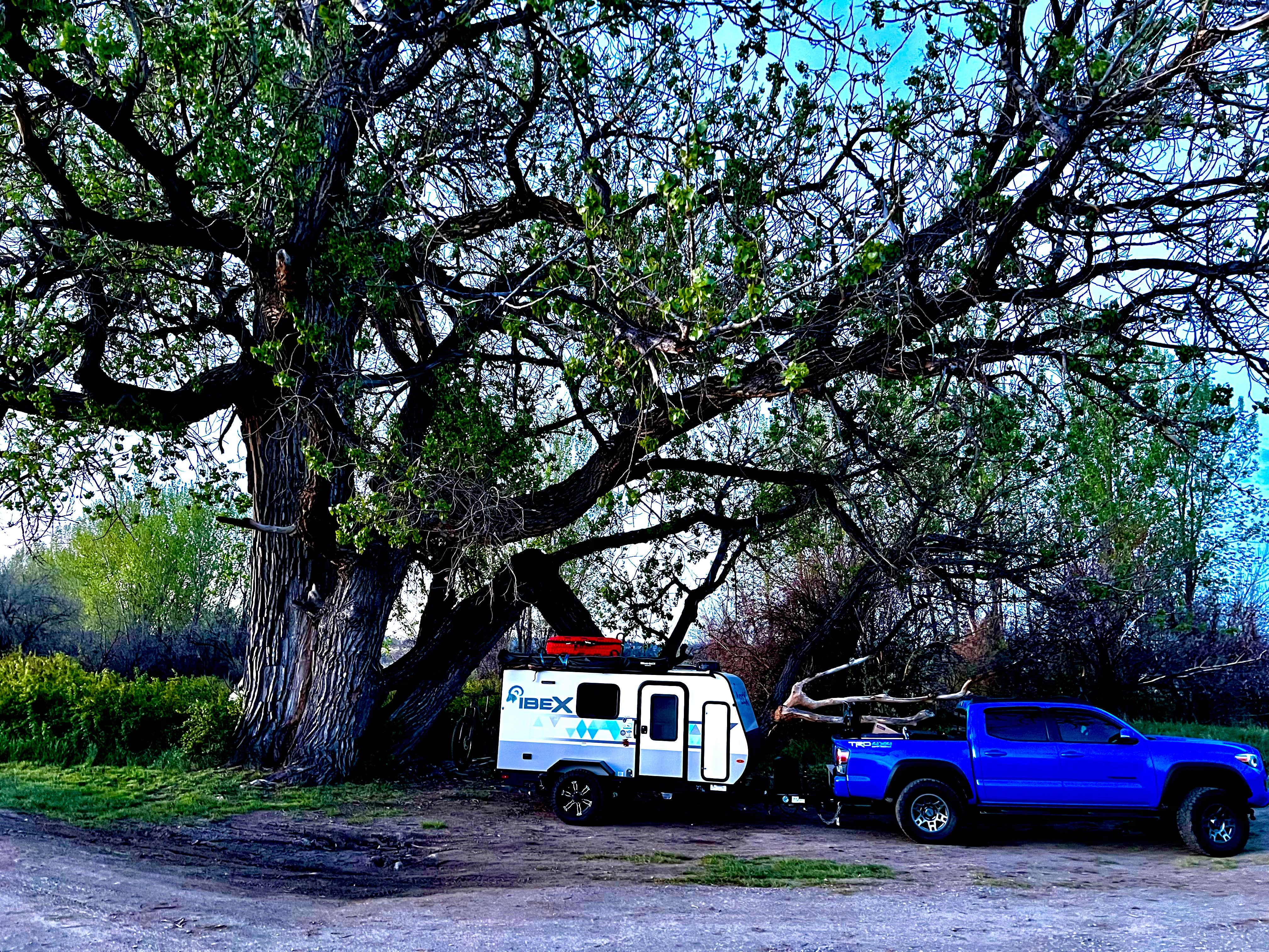 Camper-submitted photo at Captain Clark near Pompeys Pillar, MT