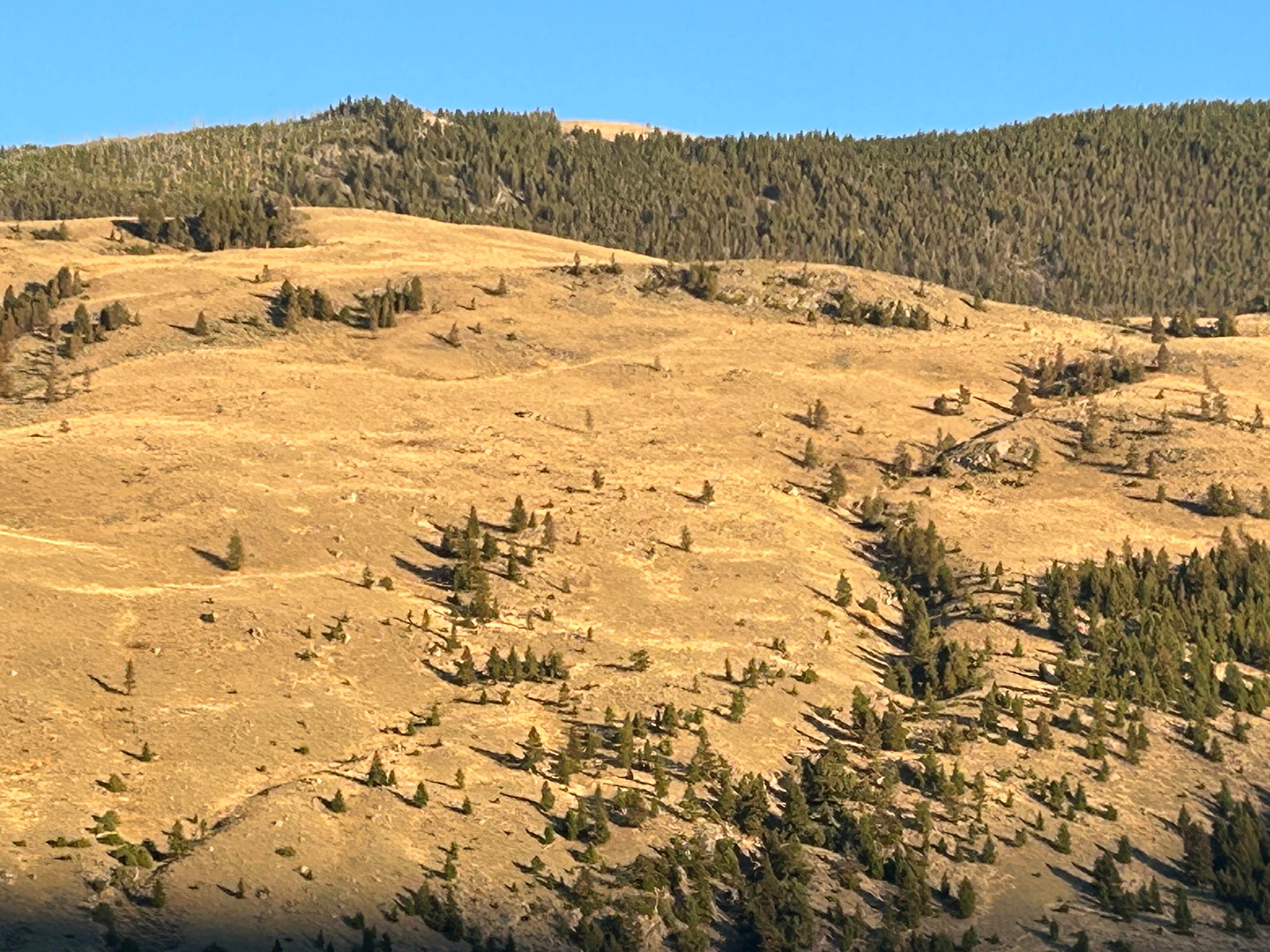 Camper-submitted photo at Carbella Rec Site Camping near Custer Gallatin National Forest