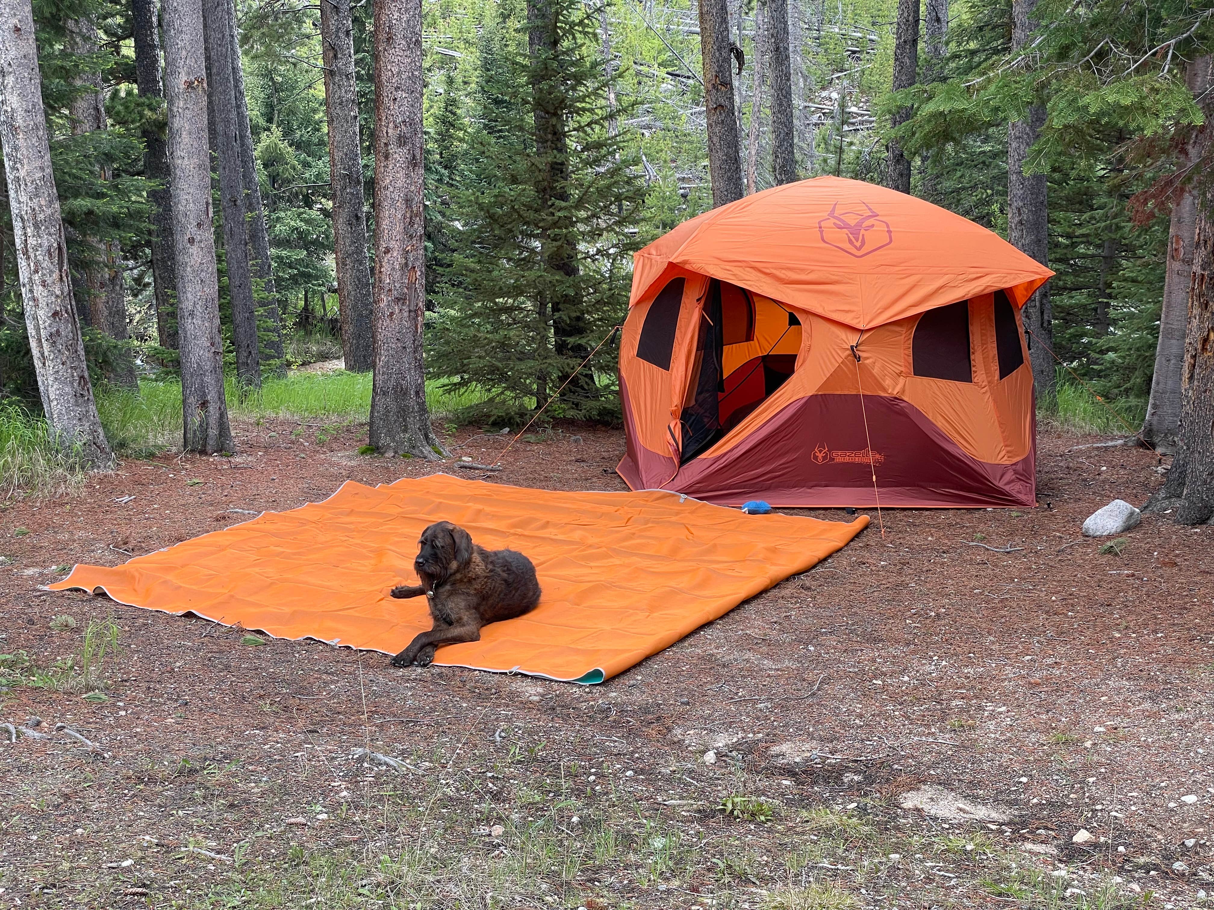 Camper-submitted photo at Cascade Campground near Ronan, MT