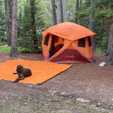 Review photo of Cascade Campground by Brian G., April 24, 2024