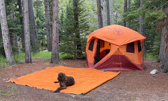Camping near Trout Creek: Cascade Campground, Paradise, Montana