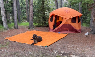 Camping near Thompson Peak Lookout Tower: Cascade Campground, Paradise, Montana