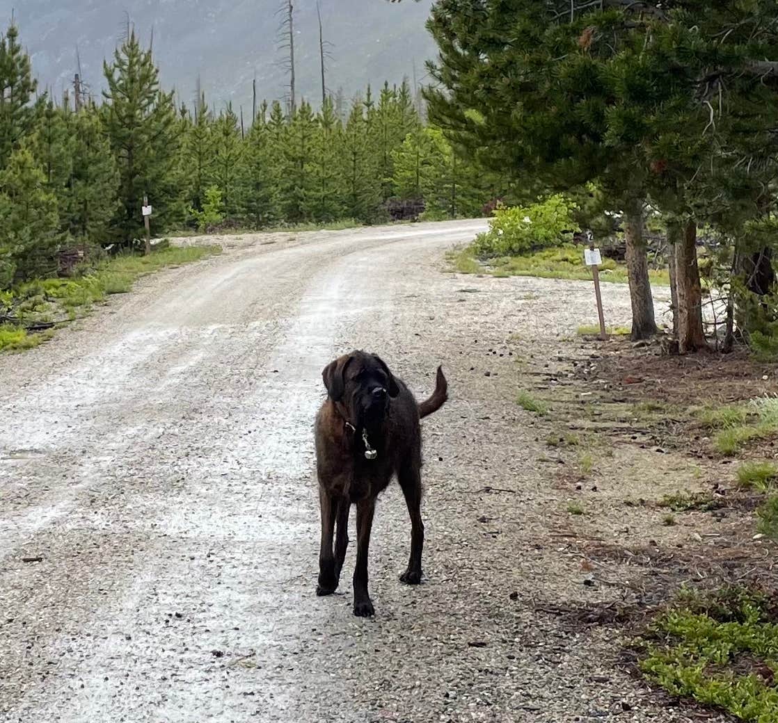 Camper-submitted photo at Cascade Campground near Ronan, MT