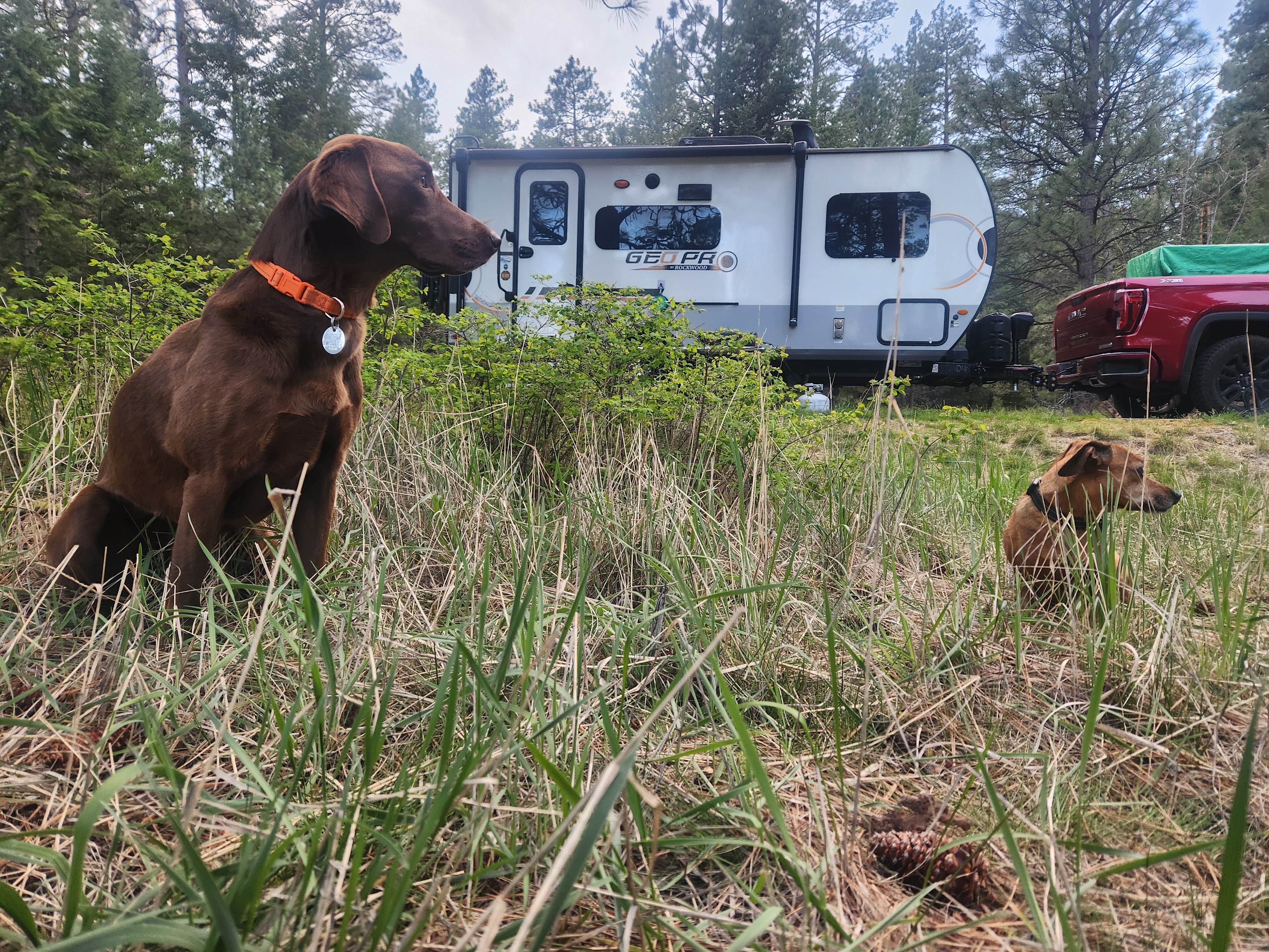 Camper-submitted photo at Charles Waters Campground near Corvallis, MT