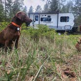 Review photo of Charles Waters Campground by Traci B., April 27, 2026