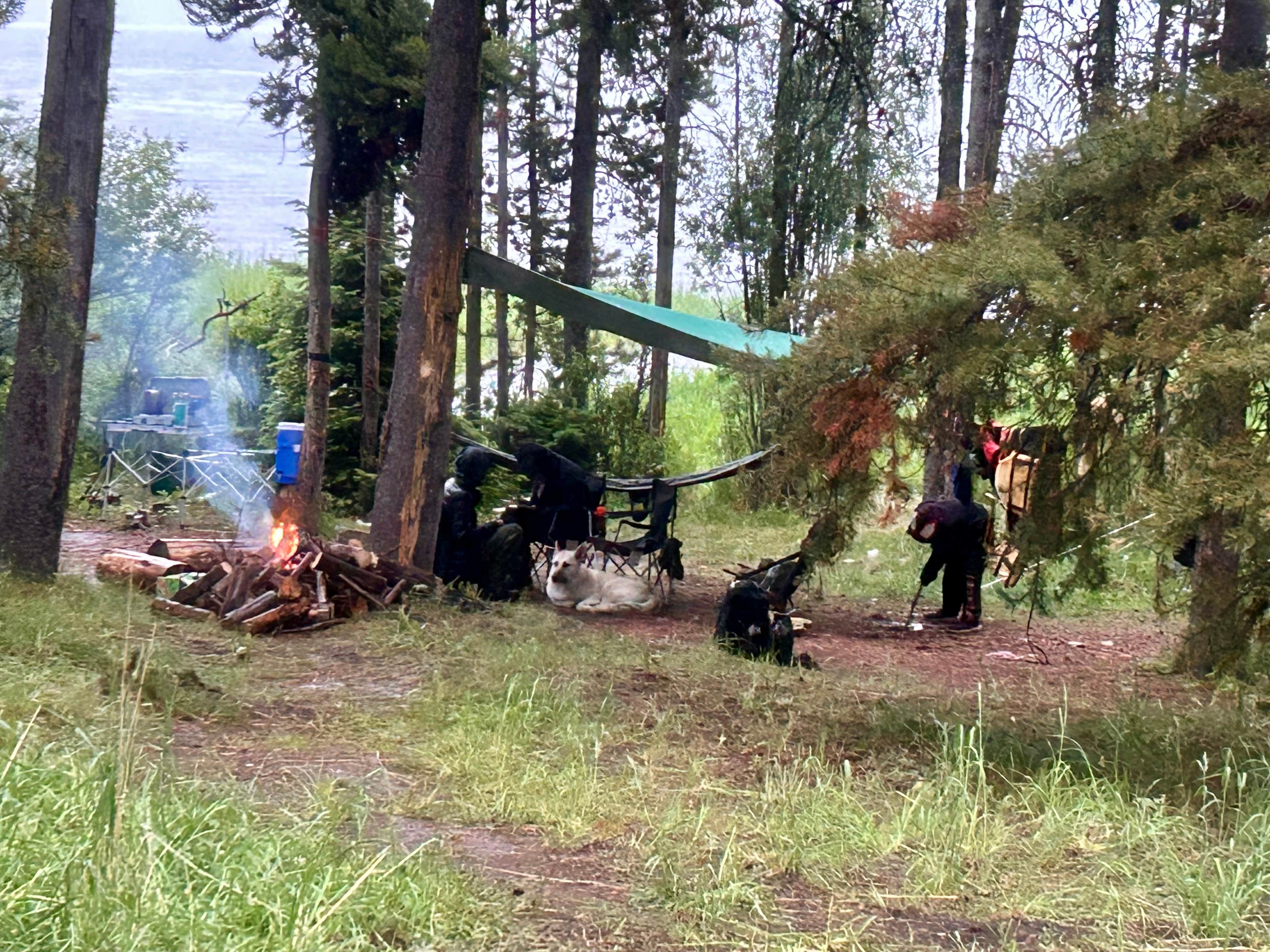 Camper-submitted photo at Cherry Creek Campground near West Yellowstone, MT
