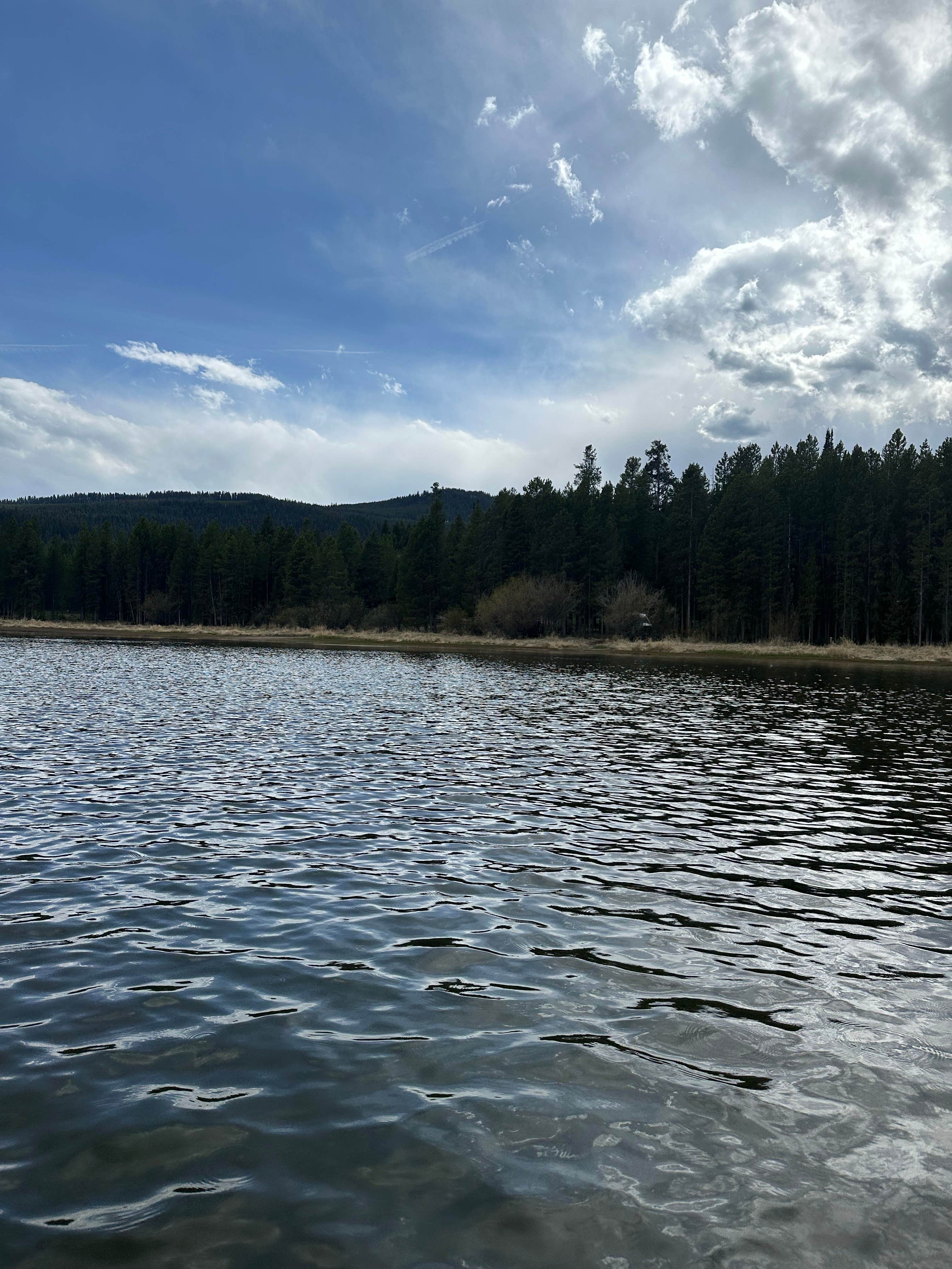 Camper-submitted photo at Cherry Creek Campground near West Yellowstone, MT