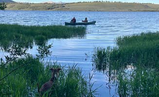 Janelle G.'s photo of camping with pets at Cherry Creek Campground near West Yellowstone, MT