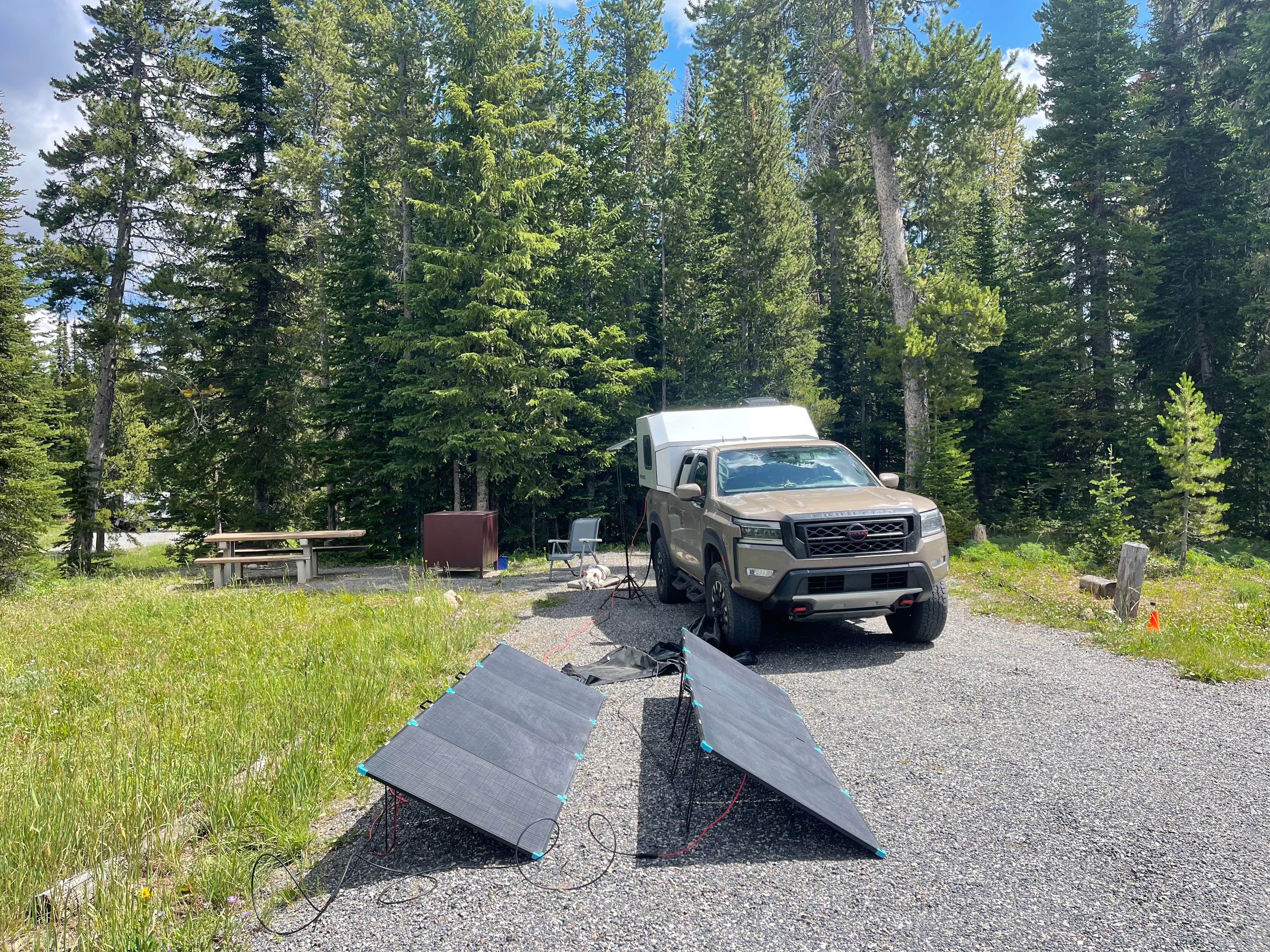 Wesley A.'s photo of camping with pets at Colter Campground near Cooke City, MT