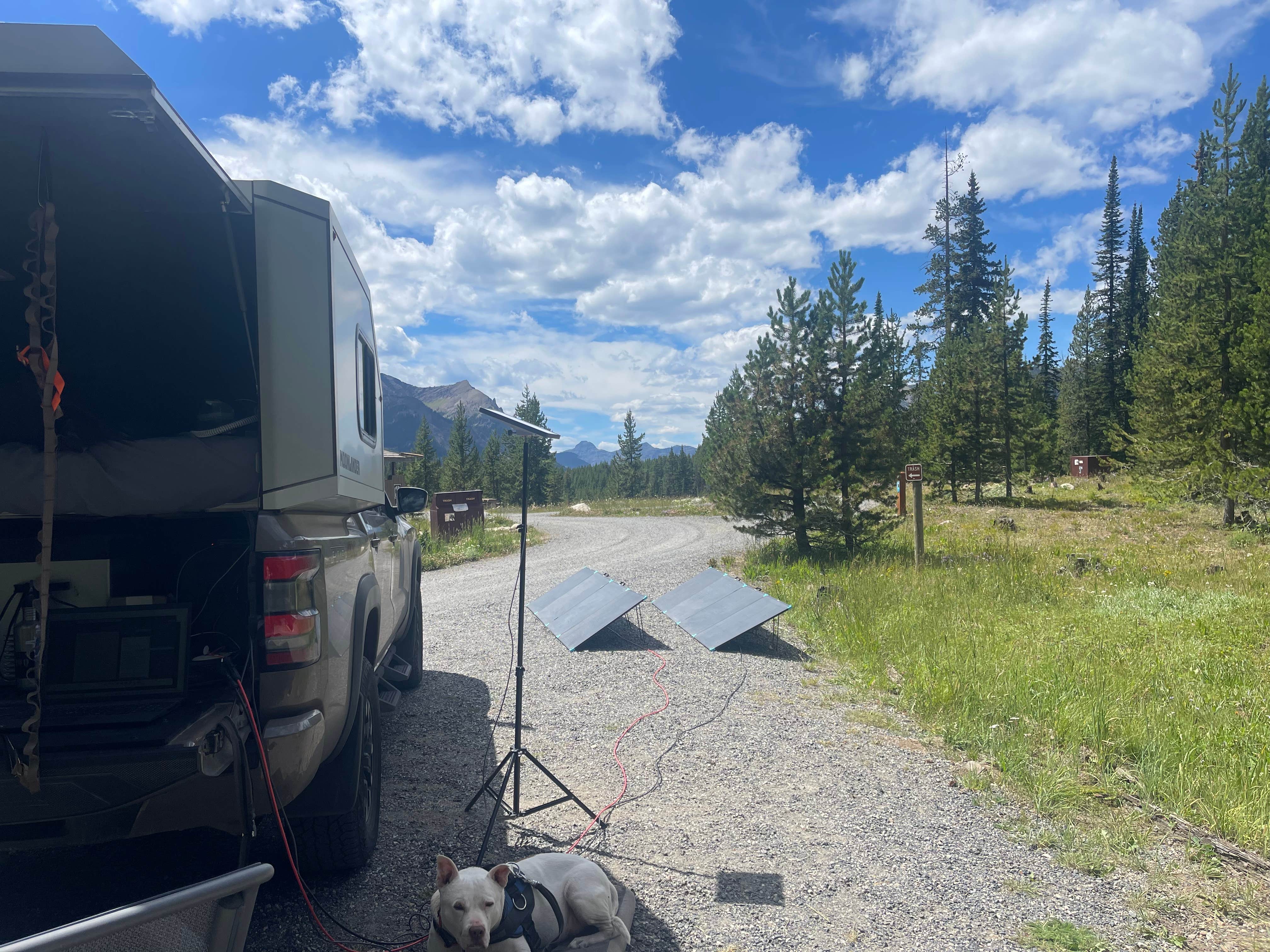 Wesley A.'s photo of camping with pets at Colter Campground near Silver Gate, MT