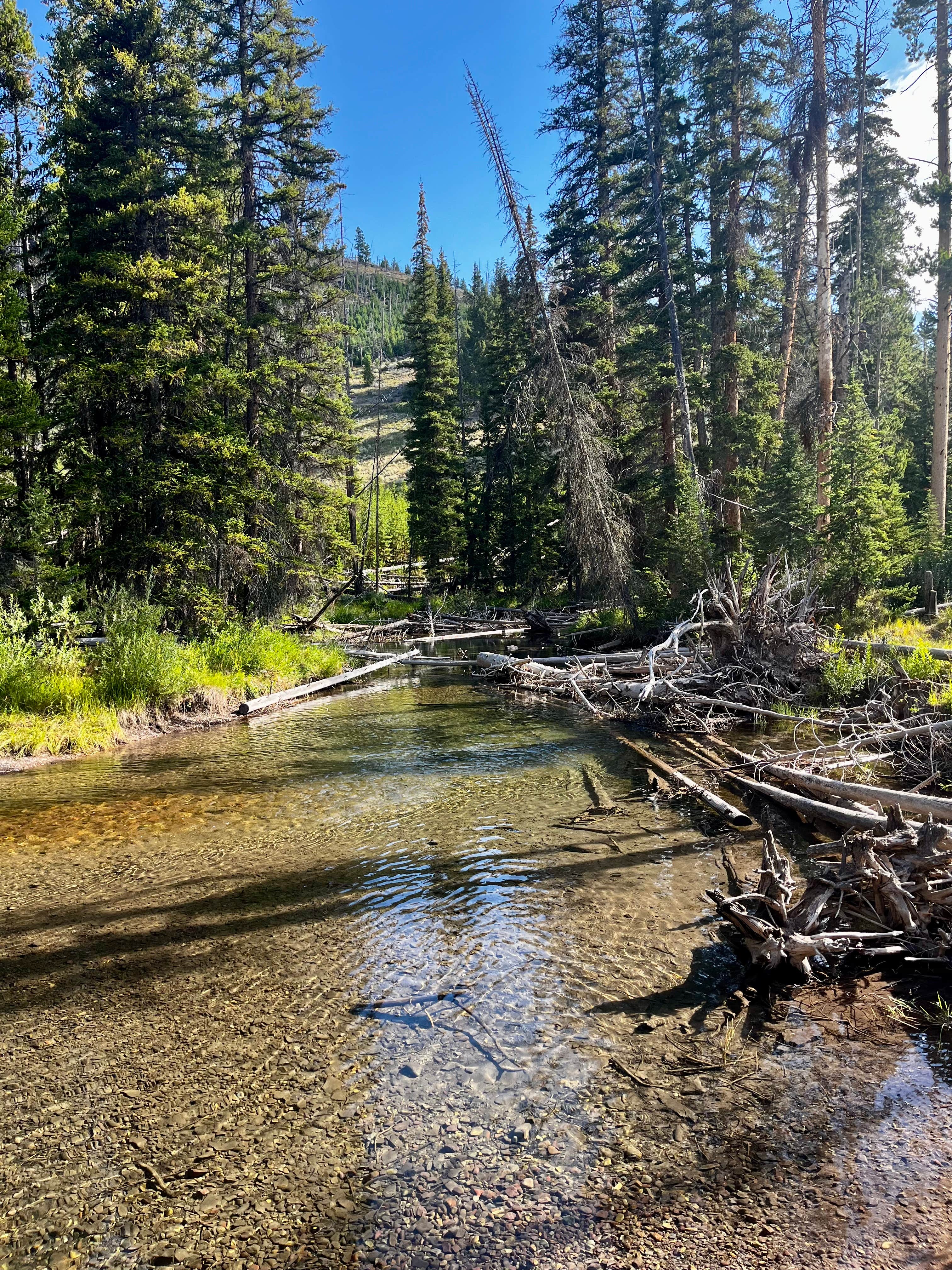 Camper-submitted photo at Copper Creek Campground near Augusta, MT