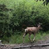 Review photo of Copper Creek Campground by Tim , June 18, 2026
