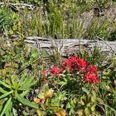 Review photo of Copper Creek Campground by Tim , June 18, 2026