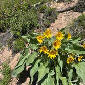 Review photo of Copper Creek Campground by Tim , June 18, 2026