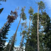 Review photo of Copper Creek Campground by Tim , June 18, 2026