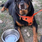 Review photo of Cow Belles Corral Campground by Jack H., July 31, 2026