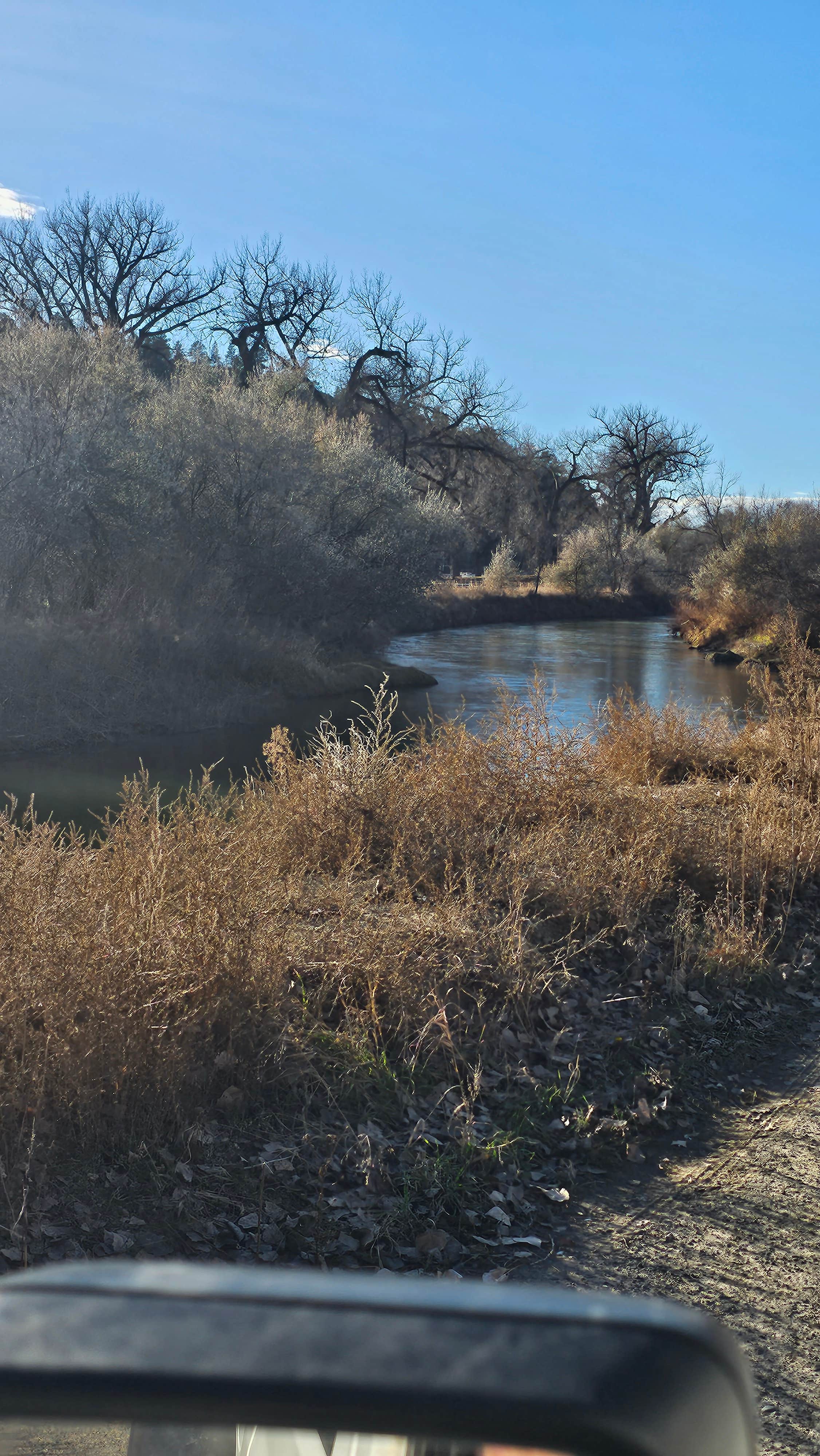 Camper submitted image from Cow Belles Corral Campground - 1