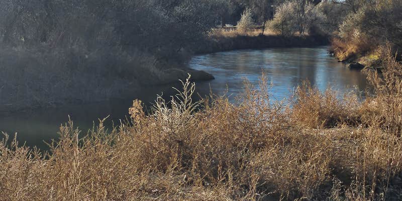 Camper submitted image from Cow Belles Corral Campground