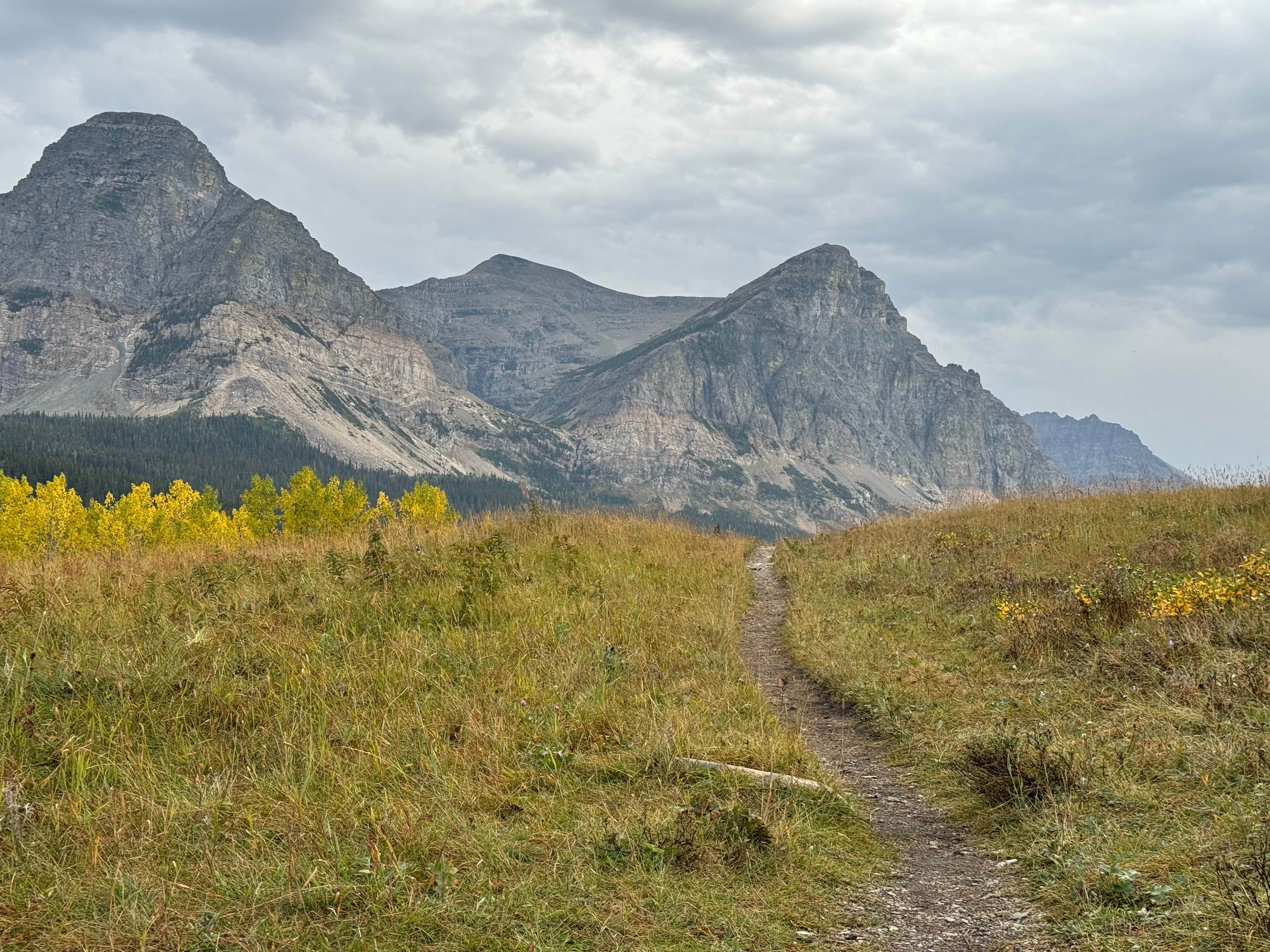 Camper-submitted photo at Cut Bank Campground — Glacier National Park near Browning, MT