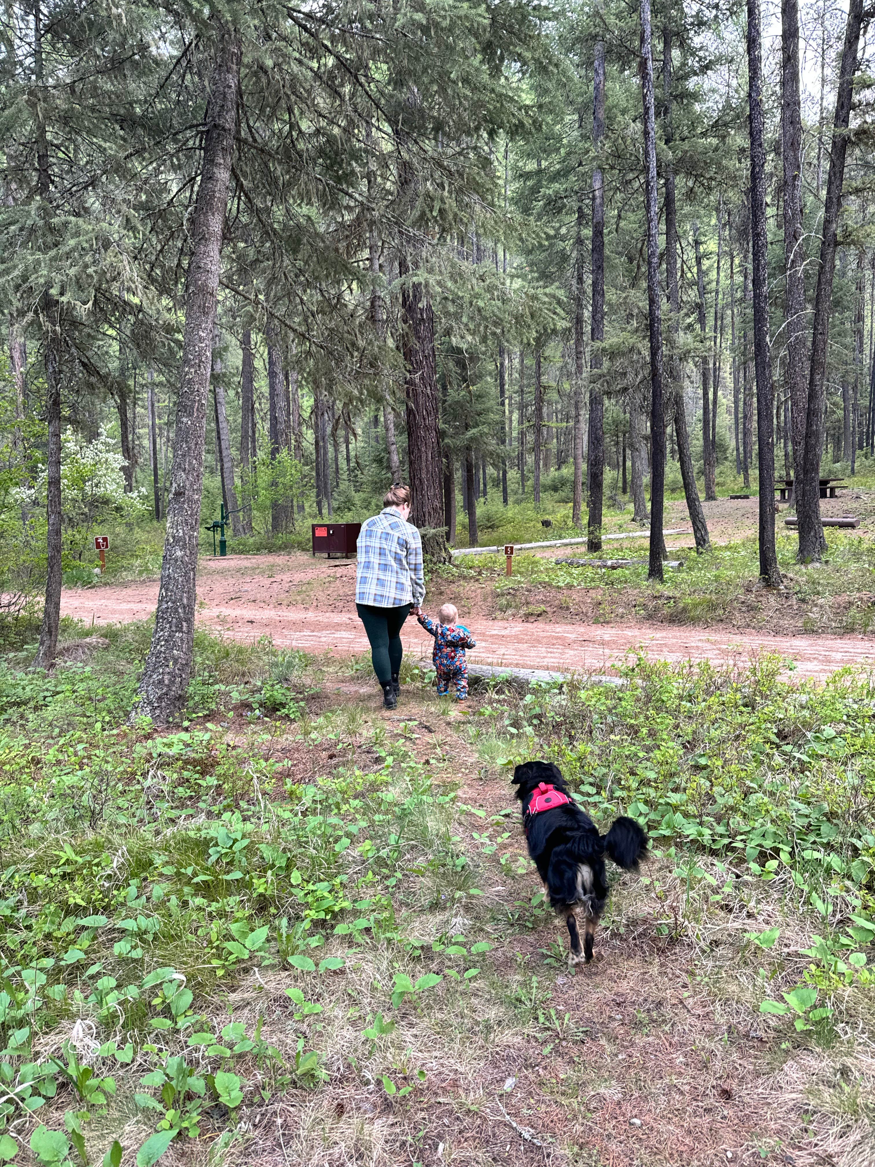 Julie  I.'s photo of camping with pets at Dalles near Darby, MT