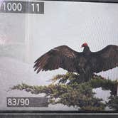 Review photo of Islay Creek Campground — Montaña de Oro State Park by Michelle W., June 17, 2024