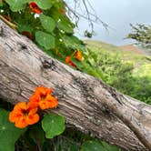 Review photo of Islay Creek Campground — Montaña de Oro State Park by Michelle W., June 17, 2024