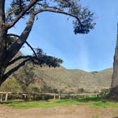 Review photo of Islay Creek Campground — Montaña de Oro State Park by Kelly C., January 29, 2026
