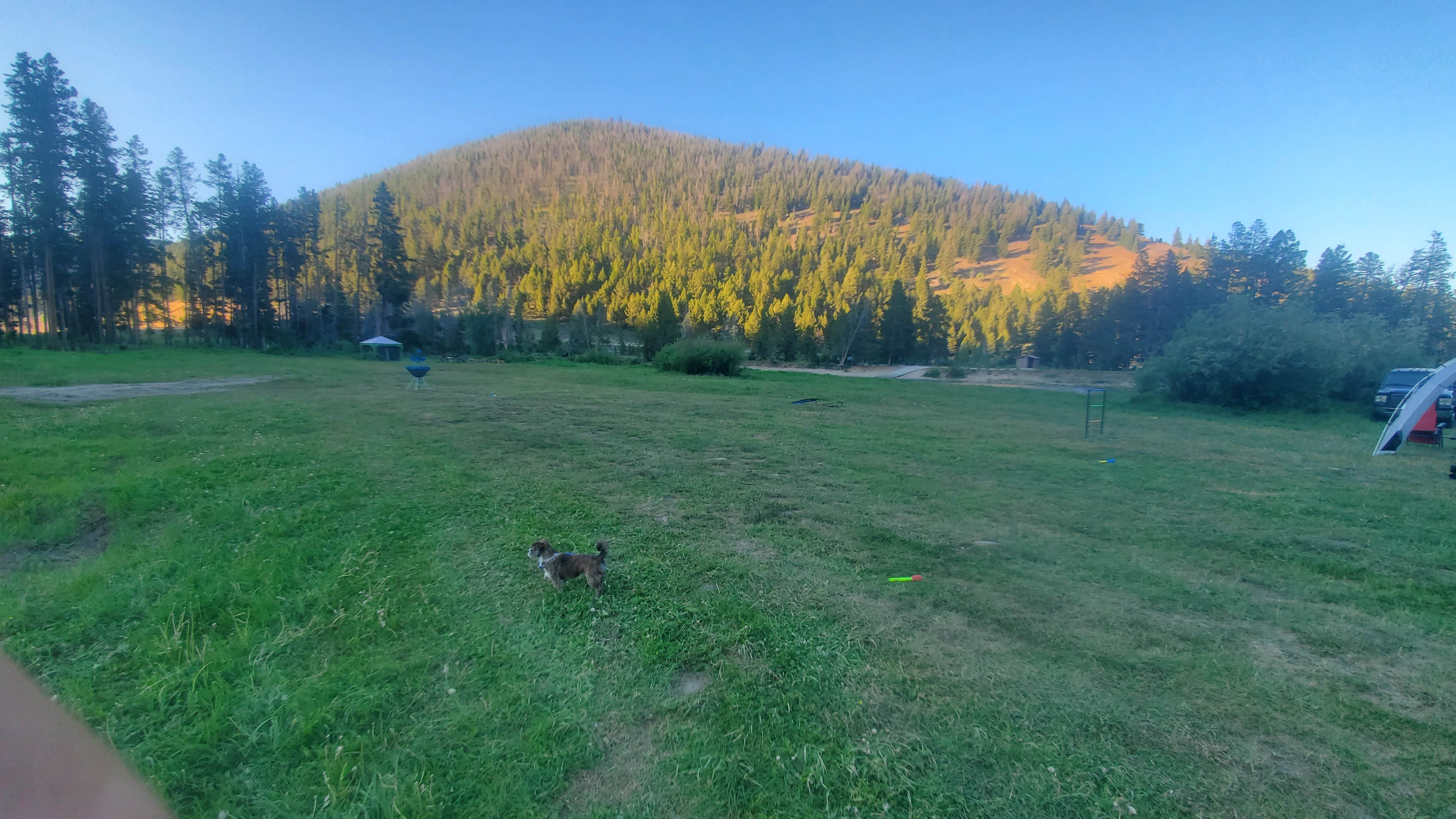 Kyle D.'s photo of camping with pets at Dickie Bridge near Butte, MT