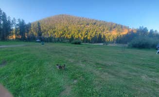 Kyle D.'s photo of camping with pets at Dickie Bridge near Divide, MT