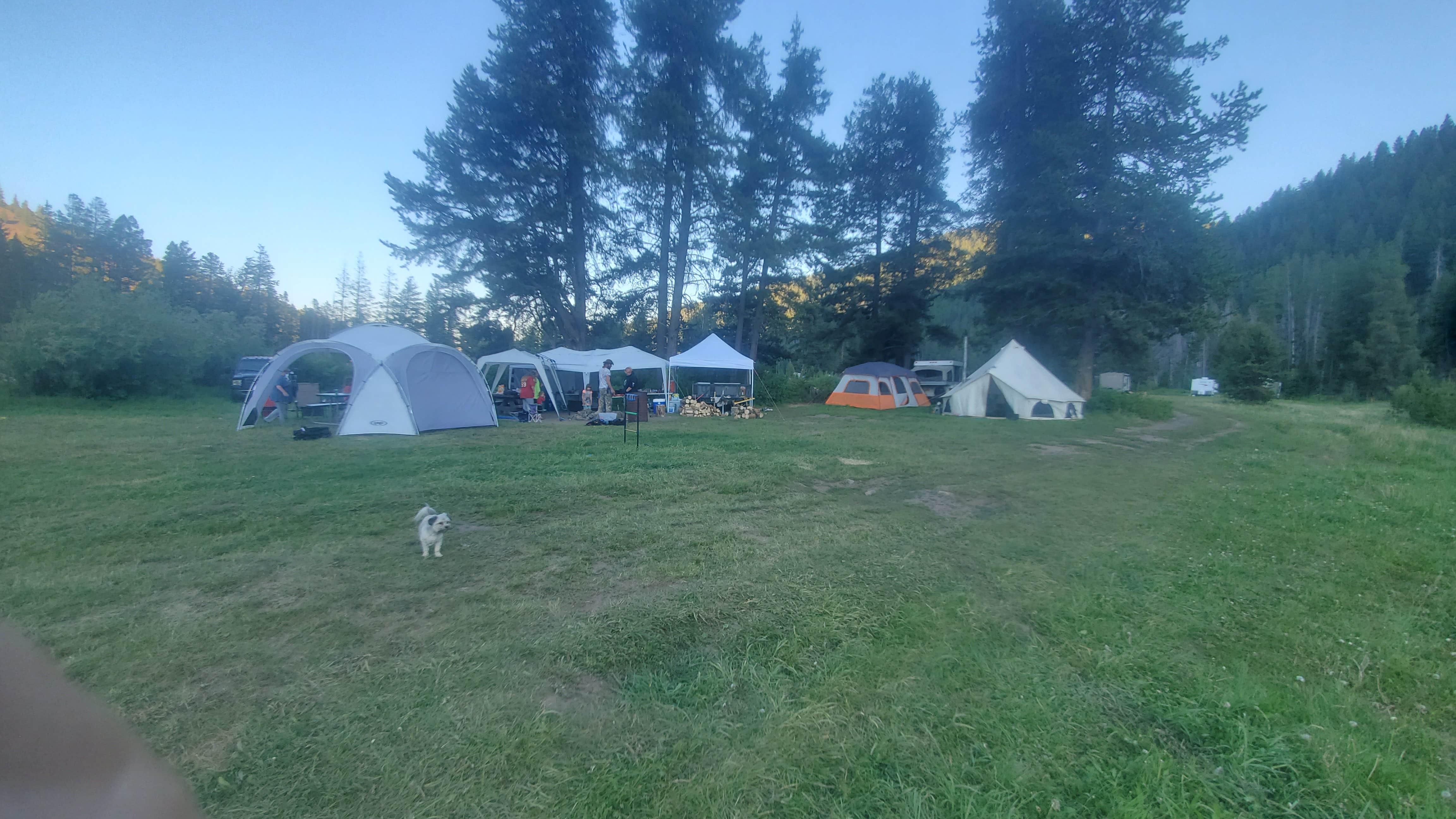 Kyle D.'s photo of camping with pets at Dickie Bridge near Butte, MT