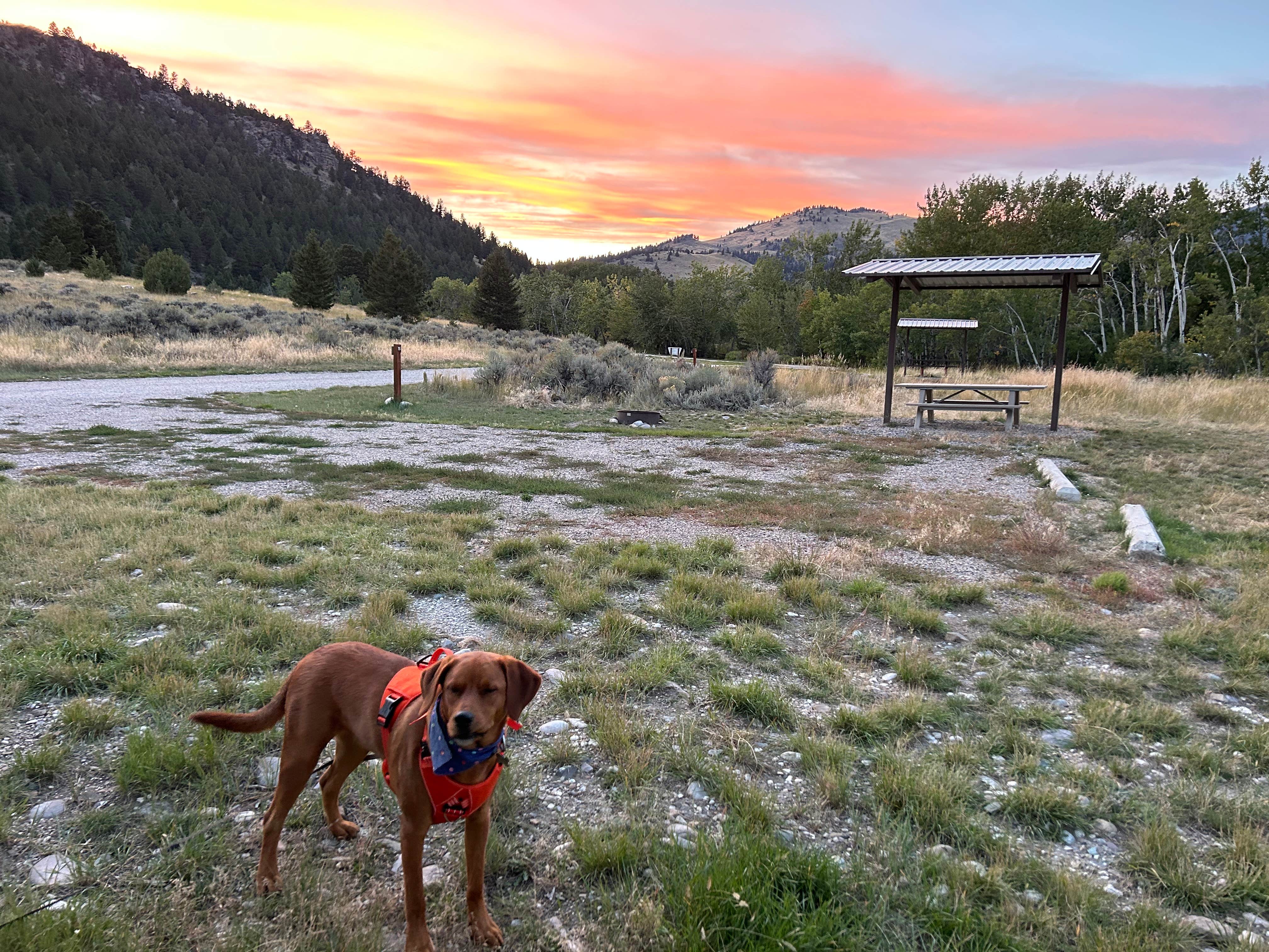 Janet H.'s photo of camping with pets at Divide Bridge Campground near Butte, MT