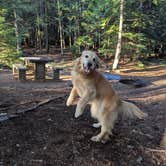 Review photo of Dorr Skeels Campground by Selena H., July 26, 2025