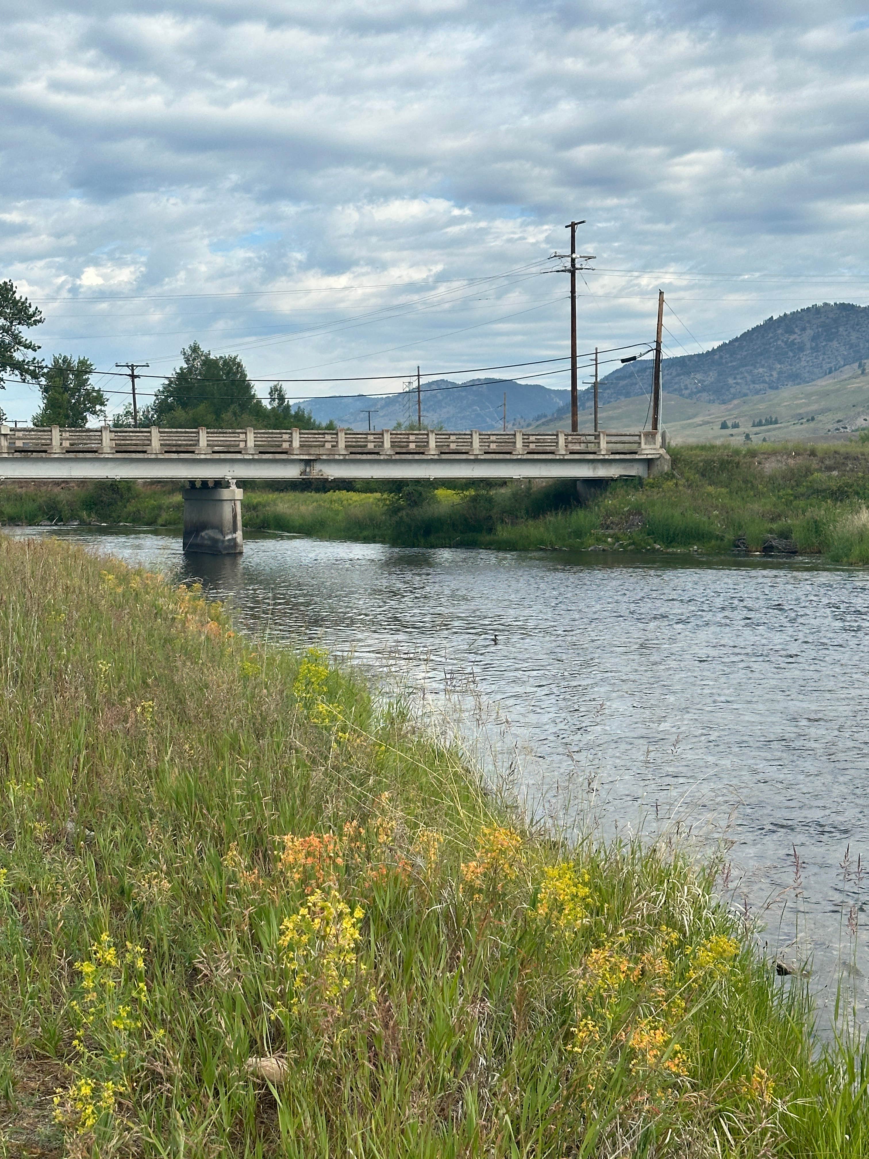 Camper-submitted photo at Town of Drummond Campground near Canyon Creek, MT