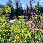 Review photo of Eagle Creek Campground by Chaz in S., June 19, 2025