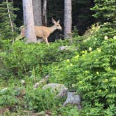 Review photo of Fairy Lake Campground by Sayler O., July 11, 2025