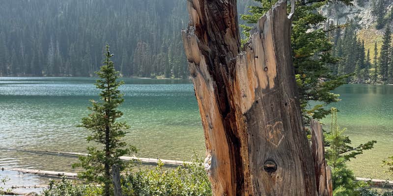 Camper submitted image from Fairy Lake Campground