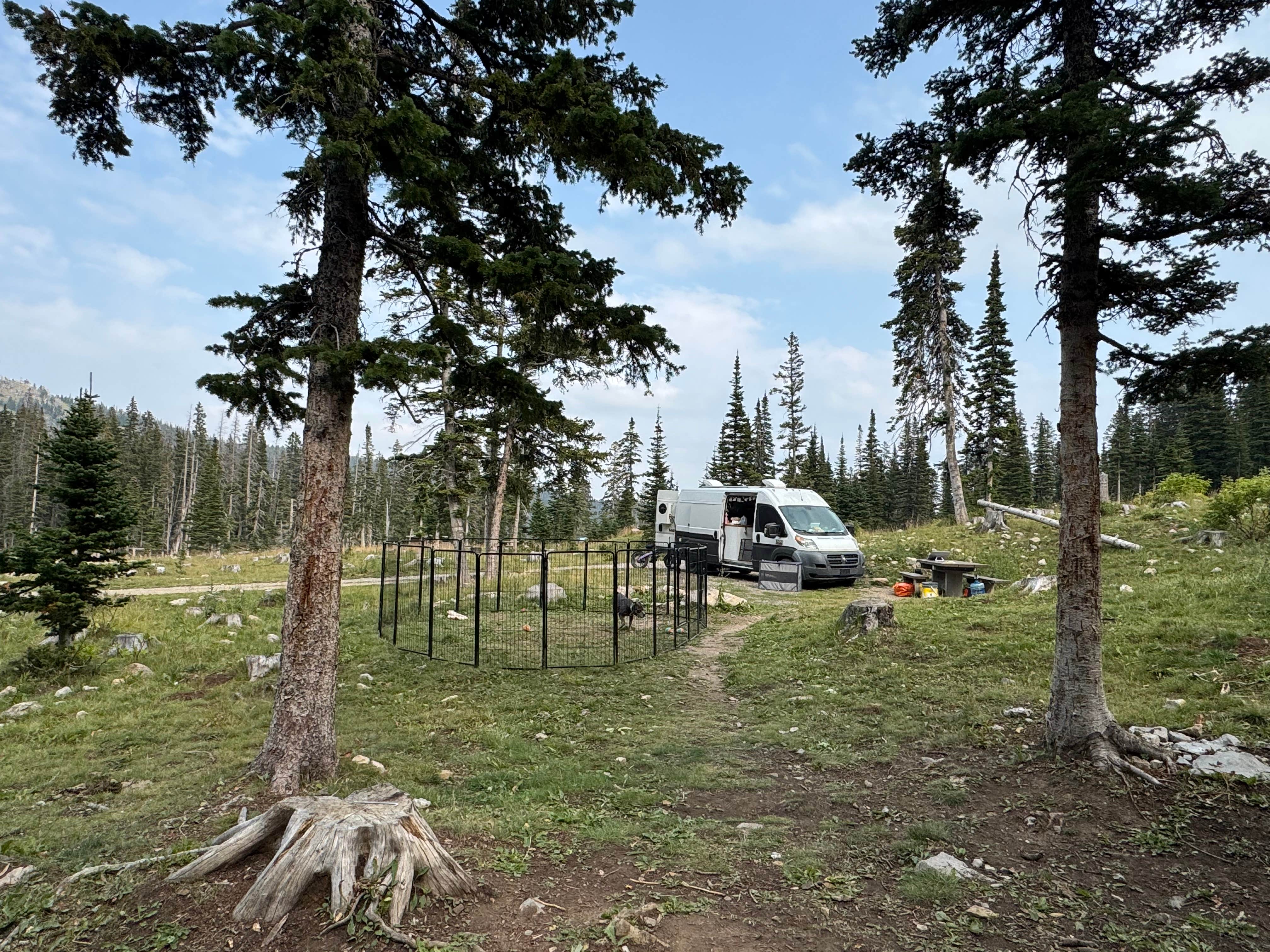 Amber R.'s photo of rv camping at Fairy Lake Campground near Livingston, MT