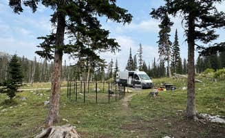 Amber R.'s photo of rv camping at Fairy Lake Campground near Wilsall, MT