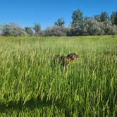 Review photo of Far West Fishing Access Site by Ryley K., June 6, 2024