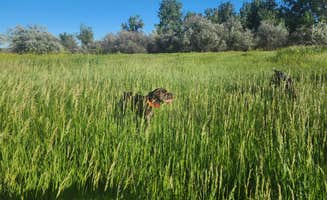 Ryley K.'s photo of camping with pets at Far West Fishing Access Site near Colstrip, MT