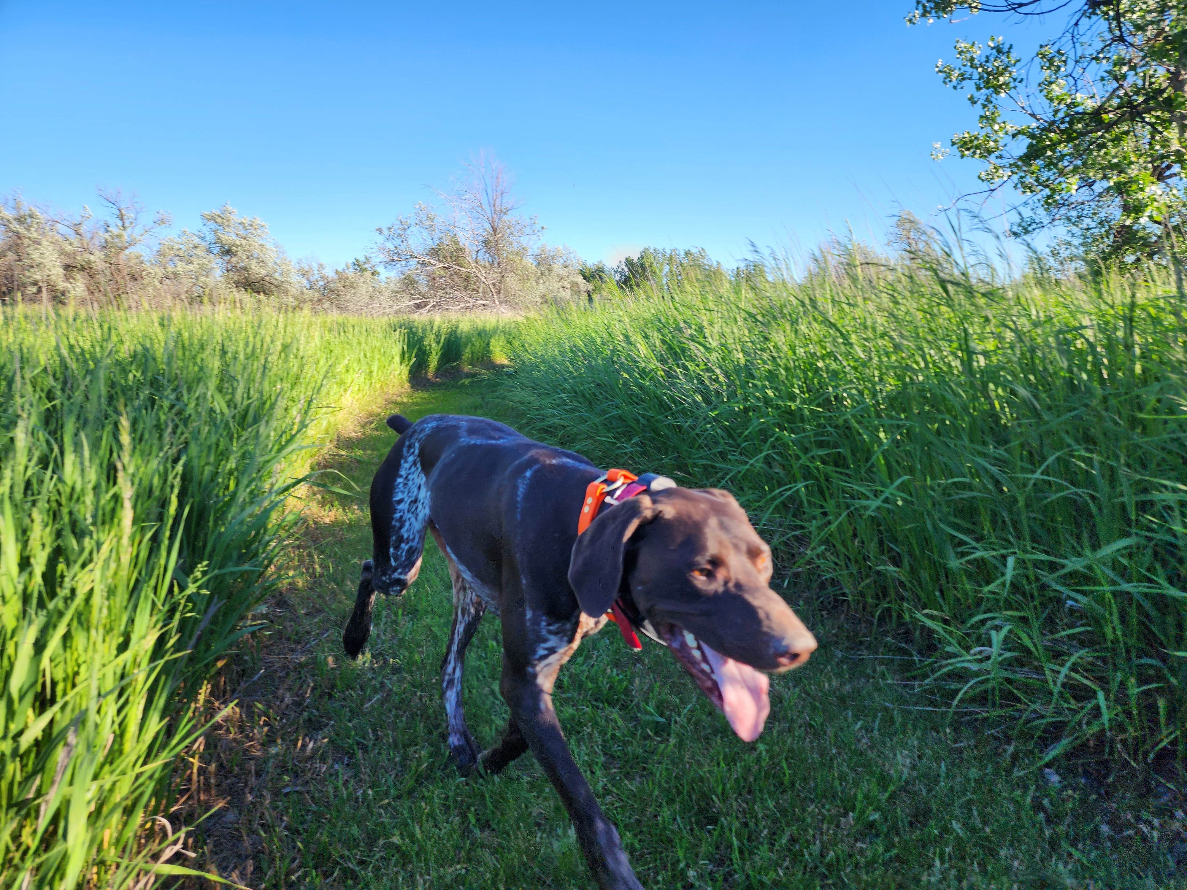 Camper-submitted photo at Far West Fishing Access Site near Colstrip, MT