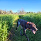 Review photo of Far West Fishing Access Site by Ryley K., June 6, 2024